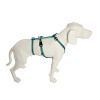 Produktbild von Feltmann No Exit Ausbruchsicheres Hundegeschirr für Angst- und Pflegehunde in Türkis/Braun mit 25 mm Bandbreite für 60-80 cm Bauchumfang