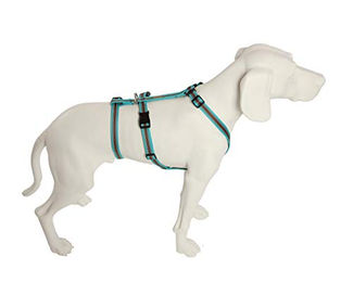 Feltmann No Exit ausbruchsicheres Hundegeschirr für Angst- und Pflegehunde in Türkis/Braun mit Soft Grip für Bauchumfang 35-50 cm – Bild 1 von 2