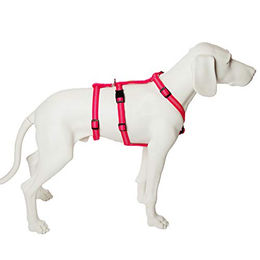 Feltmann No Exit Ausbruchsicheres Hundegeschirr für Angst- und Pflegehunde, Pink, Bauchumfang 35-50 cm – Bild 1 von 2