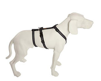 Feltmann No Exit Ausbruchsicheres Hundegeschirr für Angst- und Pflegehunde Schwarz Silber Bauchumfang 60-80 cm – Bild 1 von 2