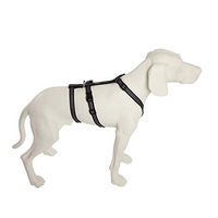 Produktbild von Feltmann No Exit Ausbruchsicheres Hundegeschirr für Angst- und Pflegehunde Schwarz Silber Bauchumfang 60-80 cm