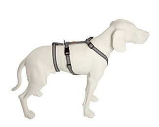 Feltmann No Exit Ausbruchsicheres Hundegeschirr für Angst- und Pflegehunde Silber Bauchumfang 50-65 cm – Bild 1 von 2