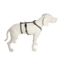 Produktbild von Feltmann No Exit Ausbruchsicheres Hundegeschirr für Angst- und Pflegehunde Silber Bauchumfang 50-65 cm
