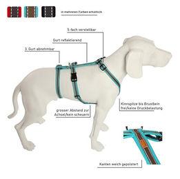 Feltmann No Exit Ausbruchsicheres Hundegeschirr Sicherheitsgeschirr für Angst- und Pflegehunde Türkis/Braun Bauchumfang 75-100 cm – Bild 1 von 2