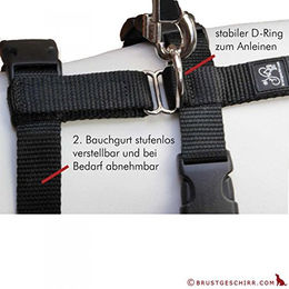 Feltmann No Exit Ausbruchsicheres Sicherheitsgeschirr für Hunde in Türkis/Braun mit Soft Grip für Angst- und Pflegehunde Bauchumfang 50-65 cm – Bild 1 von 2