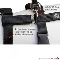 Produktbild von Feltmann No Exit Ausbruchsicheres Sicherheitsgeschirr für Hunde in Türkis/Braun mit Soft Grip für Angst- und Pflegehunde Bauchumfang 50-65 cm
