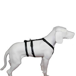 Produktbild von Feltmann NoExit Ausbruchsicheres Hundegeschirr Mini Sicherheitsgeschirr Schwarz 30-40cm