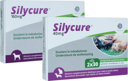 Fendigo Silycure 40 mg 60 Tabletten – Bild 1 von 2