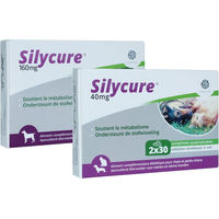 Produktbild von Fendigo Silycure 40 mg 60 Tabletten