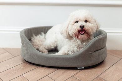 FERA Hundebett oval aus Stoff Grau Größe S – Bild 1 von 11