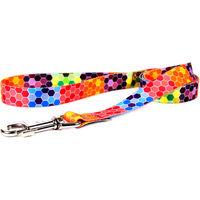 Produktbild von FERA Hundeleine Octagon aus Nylon in Bunt mit Haken 130 cm - 130 cm