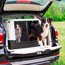 Ferplast Atlas Car Maxi Autotransportbox für Hunde aus Kunststoff Grau XL 100 x 80 x 71 cm – Bild 1 von 6