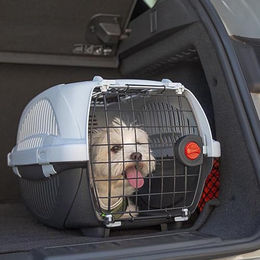 Ferplast Atlas Deluxe 10 Open Transportbox für kleine Hunde und Katzen mit Vorder- und Obertür inklusive Kissen und Napf Blau – Bild 1 von 6