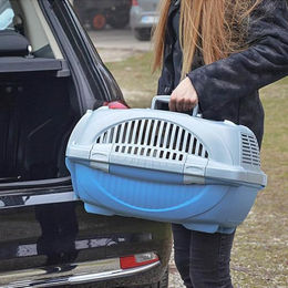 Ferplast Atlas Deluxe Transportbox aus Kunststoff für Hunde und Katzen Größe L – Bild 1 von 2