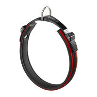 Produktbild von Ferplast ErgoComfort Hundehalsband aus Nylon für kleine Hunde in Rot Größe S