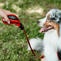 Ferplast ERGOCOMFORT Hundeleine aus Nylon mit ergonomischem Griff in Rot, 120 cm x 2 cm – Bild 1 von 4