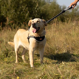 Ferplast ERGOCOMFORT Kurzführer für Hunde aus Nylon mit ergonomischem Griff in Silber 55 cm x 2,5 cm – Bild 1 von 3