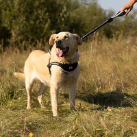 Produktbild von Ferplast ERGOCOMFORT Kurzführer für Hunde aus Nylon mit ergonomischem Griff in Silber 55 cm x 2,5 cm