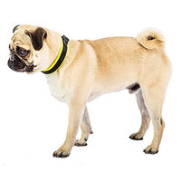 Produktbild von Ferplast Ergofluo Hundehalsband aus Nylon mit Polsterung und Mikroregulationsverschluss in Gelb oder Grün Größe M
