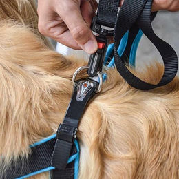 Ferplast ERGOFLUO Matic Hundeleine aus Nylon für kleine Hunde mit ergonomischem Griff in Blau 120 cm – Bild 1 von 4