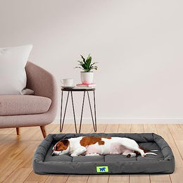 Ferplast Hundebett für große Hunde orthopädisch mit Gelenksupport Schwarz – Bild 1 von 3