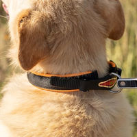 Produktbild von Ferplast Hundehalsband Ergofluo aus Nylon in Orange Größe L für Riesenrassen