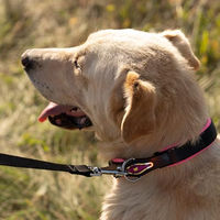 Produktbild von Ferplast Hundehalsband Ergofluo C25/60 aus Nylon in Rosa