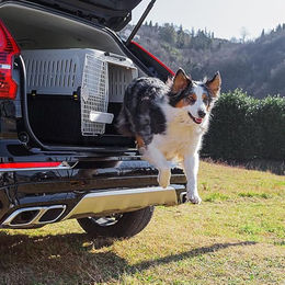 Ferplast Hundetransportbox ATLAS 50 für mittelgroße Hunde Grau – Bild 1 von 6