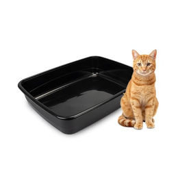 Ferplast Katzenklo XXL Offene Katzentoilette aus Kunststoff Schwarz L 64,5 x W 49,5 x H 14,5 cm – Bild 1 von 7
