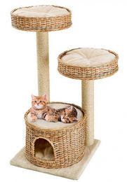 Ferplast Kratzbaum Amir für Katzen aus Schilf und Sisal in Naturoptik 50 x 50 x 103 cm – Bild 1 von 1