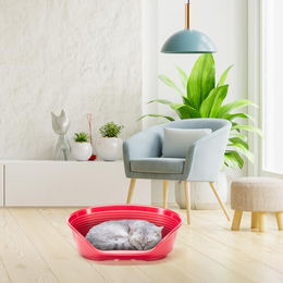 Ferplast Siesta Deluxe Hundebett und Katzenbett aus Kunststoff in Bordeaux Rot Extra Small 43 x 28 x 17,5 cm - 1 Stk. – Bild 1 von 3