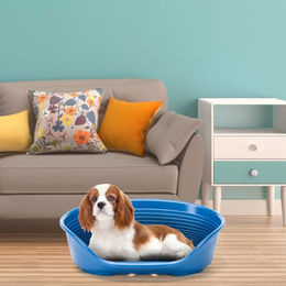 Produktbild von Ferplast Siesta Deluxe Hundebett und Katzenbett aus Kunststoff in Taubengrau Medium 62 x 41 x 23,5 cm