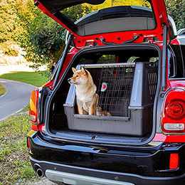 Ferplast Transportbox Atlas Car 80 Scenic für Hunde mittlerer Rassen aus Kunststoff mit Sicherheitsverankerung 82 x 51 x 61 cm – Bild 1 von 6