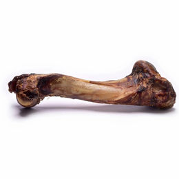 Produktbild von fidelis.dog Hirschknochen Monoprotein Naturkauartikel Größe XL