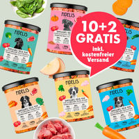 Produktbild von fidelis.dog Kennenlern-Bundle Hund Frischmenü im Glas 12er Set