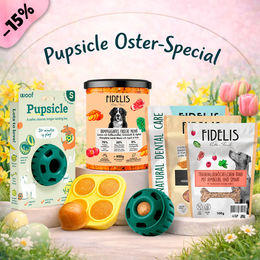 Produktbild von fidelis.dog Pupsicle Intelligenzspielzeug Schleckmatte Grün Größe S mit Oster Special Treat Tray für Hundesnacks