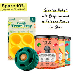 Produktbild von fidelis.dog Pupsicle Starter Paket aus Silikon Grün Größe L