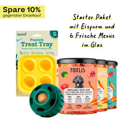 Produktbild von fidelis.dog Pupsicle Starter Paket Grün Größe S aus Kunststoff