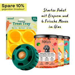 Produktbild von fidelis.dog Pupsicle Starter Paket Grün Größe XL aus Silikon