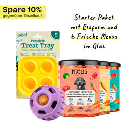 Produktbild von fidelis.dog Pupsicle Starter Paket Lavendel Größe S aus Silikon Lila