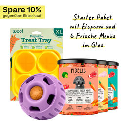 Produktbild von fidelis.dog Pupsicle Starter Paket Lavendel Größe XL Lila