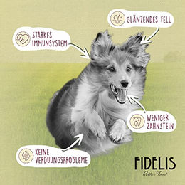 Fidelis Getrocknetes Pferde-Menü mit Lachs für Hunde mit hohem Fleischanteil 5kg – Bild 1 von 5