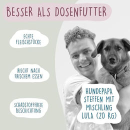 Fidelis Hundefutter Nassfutter Lachs Stückchen in Sauce 6 x 400g Glas mit hohem Fleischanteil ohne Konservierungsstoffe – Bild 1 von 4