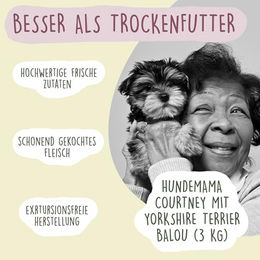 Fidelis Hundefutter Nassfutter mit Schwein in Sauce 6 x 400g Glas hoher Fleischanteil ohne Farb- und Aromastoffe – Bild 1 von 3