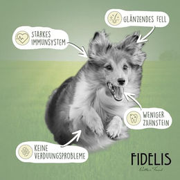 Fidelis Hundefutter Nassfutter Pute mit Stückchen in Sauce 6 x 400g Glas hoher Fleischanteil ohne Farb- und Aromastoffe – Bild 1 von 3