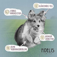 Produktbild von Fidelis Trainingsknöchelchen für Pferde Kauknochen 1kg Eimer