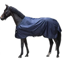 Produktbild von Field Master Lami-Cell Outdoor-Pferdedecke 600D Blau 0g