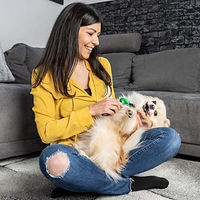 Produktbild von FinoPet Hundebürste für kleine Hunde und Welpen aus Edelstahl zur Fellpflege aller Felltypen Größe S