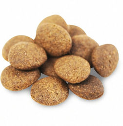 Fish4Dogs Finest Adult Complete Getreidefreies Hundefutter Weißfisch und Lachs Große Brocken 1,5 kg – Bild 1 von 6