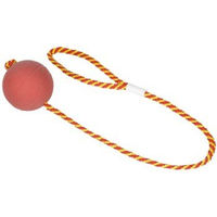 Produktbild von FIT+FUN Ball am Seil aus Gummi in Rot